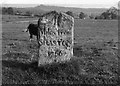 Old Milestone by the A350, Semley Common