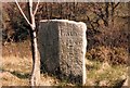 Old Boundary Marker by the B3362, Culverhill, Lamerton parish