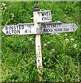 Direction Sign - Signpost on London Road, Binsted