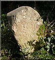 Old Boundary Marker on the B4352 in Clifford parish