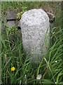 Old Milestone by the A97, Milton of Noth, Rhynie parish