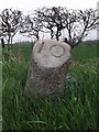 Old Milestone by the A90, Crimond parish