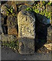 Old Boundary Marker by Nancealverne, Penzance parish