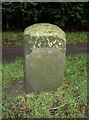 Old Milestone by the A31, Winchester Road, Four Marks parish