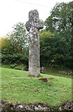 SX5466 : Old Wayside Cross by Parson's Wood, Meavey parish by Alan Rosevear