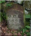 Old Boundary Marker by Threapwood Lodge, Cheadle parish