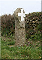 Old Wayside Cross by the A39, Whitecross, St Breock parish