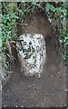 Old Milestone near Leighmoor Cross, Modbury parish