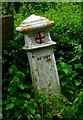 Old Boundary Marker by Darnicle Hill, Cheshunt parish