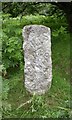 Old Milestone near Pennycomequick, Whitchurch parish