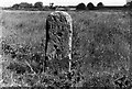 SY1595 : Old Milestone by the former B3174, Seaton Road, Farway parish by Milestone Society