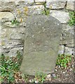 Old Boundary Marker by North Road, Bath parish