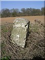 Old Milestone by the B3049, Stockbridge Road, Sparsholt parish