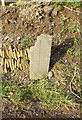 Old Boundary Marker by Goodleigh Road, Goodleigh parish