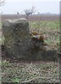 SE5865 : Old Milestone by the B1363, near Low Inhams, Sutton-on-the-Forest parish by C Minto