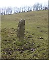 Old Waymarker Stone near Doctor