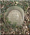 Old Milestone by the B4396, Bryn Dinas, Llangedwyn parish