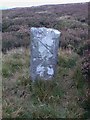 SD6964 : Old Boundary Marker by East Cat Stones, Burn Moor, Tatham parish by Milestone Society