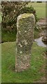 Old Milestone on Plaster Down, Whitchurch parish