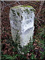 Old Milestone by the B1113, Bramford Road, Great Blakenham