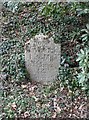 Old Milestone by the A386, Parkwood Road, Tavistock parish