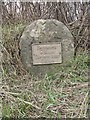 Old Milestone by the B4363, south of Pancake Farm, Kinlet parish