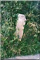 Old Guide Stone east of Veryan Green, Veryan parish