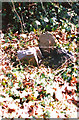 Old Milestone by the B4385, Melin-y-Dd?l, Llanfair Caereinion parish