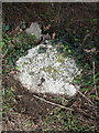 Old Milestone by the B1438, Yarmouth Road, Melton parish