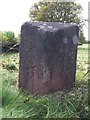 Old Boundary Marker by the A442, South of Fenn Green, Alveley parish