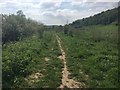 Kennet & Avon Canal Walk