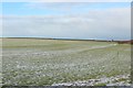 Arable field east of Highthorn