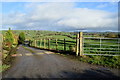 Long lane to farm, Keady