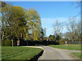 TL5227 : Field Gate Lane, Ugley Green by Robin Webster