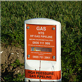 TL4836 : Gas pipeline marker by Robin Webster