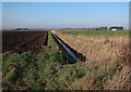 Ditch, North Fen