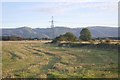 Stubble and the Ochils