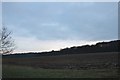 Fields by Ingatestone Road, High Woods