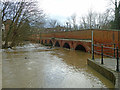 Leatherhead Bridge