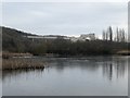 The Carrs SSSI