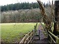 Footpath from the Afon Mawddach footbridge, Ganllwyd