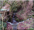 Brook on the southwest side of Abercynon Road, Pontcynon