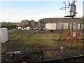 NT9953 : Railway Yard, Berwick Station by Stanley Howe