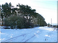 Ilkley Road, looking south from Upwood Hall Farm