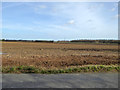 Ploughed field north of Raven