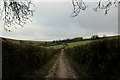 Wessex Ridgeway climbing Eastwards from Sydling St. Nicholas