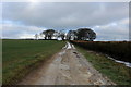 SY6499 : Wessex Ridgeway on Cowdown Hill by Chris Heaton