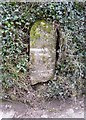 Old Milestone by the former B3207, Moreleigh, Halwell and Moreleigh parish