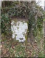 Old Milestone, Unnamed Road, Batteridge Hill, Parish of Whitchurch (West Devon District)