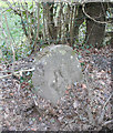 Old Bridge Marker by the A3124, Castle Hill, Beaford parish